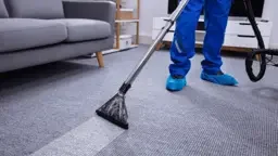 Carpet cleaning